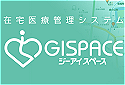 gispace_s1