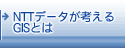 NTT�f�[�^���l����GIS�Ƃ�